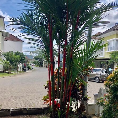 Gerbera 4Br Villa Springhill Garden Маланг Экстерьер фото